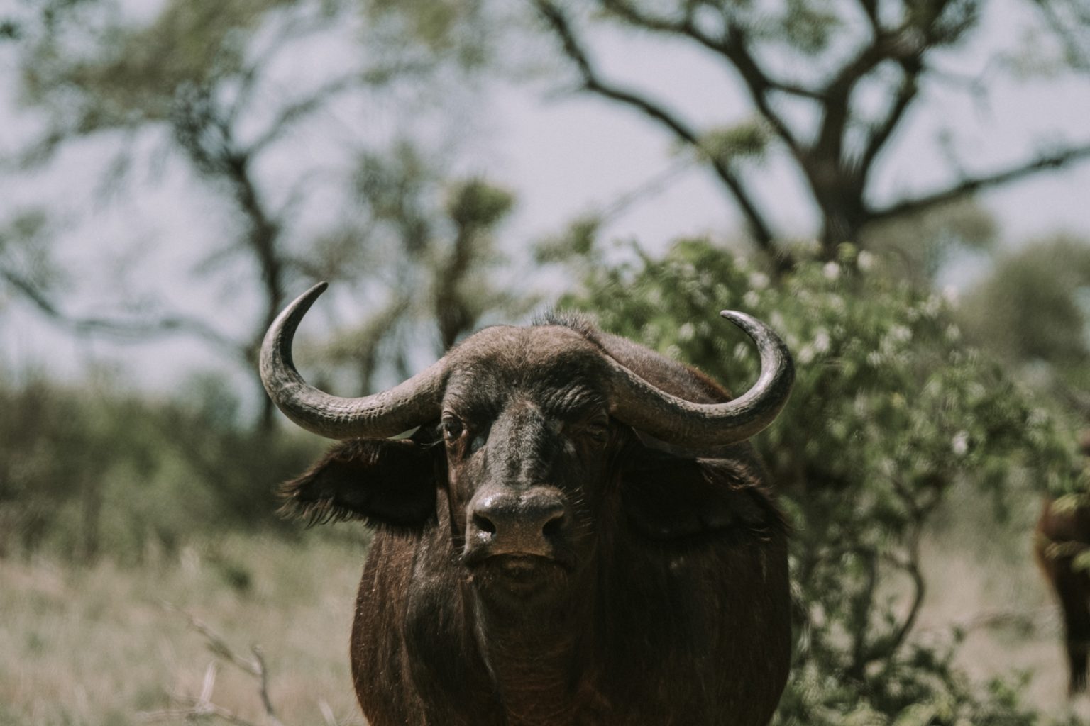 The 5 Best Fuji Lenses for Stunning Portraits (2021 Update)